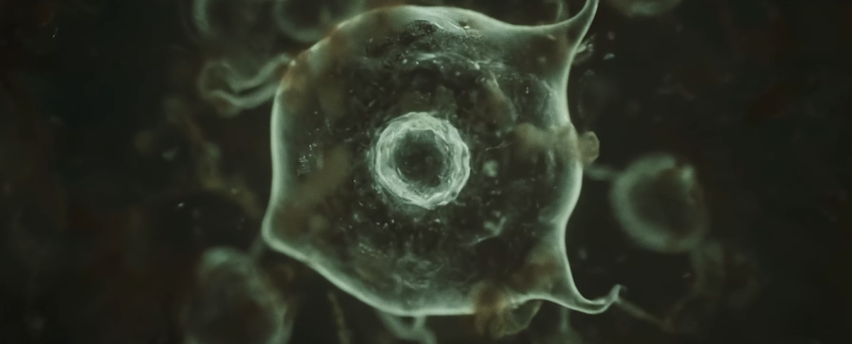 Space Whales - Solving the Mystery of Panspermia