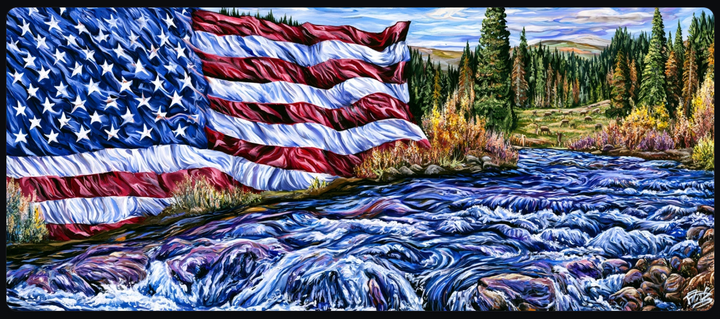 Liquid Democracy